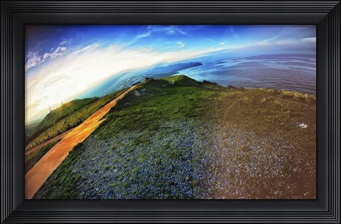 Framed Cap Bear Print