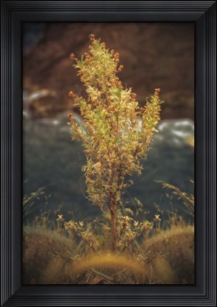 Framed View Point Print