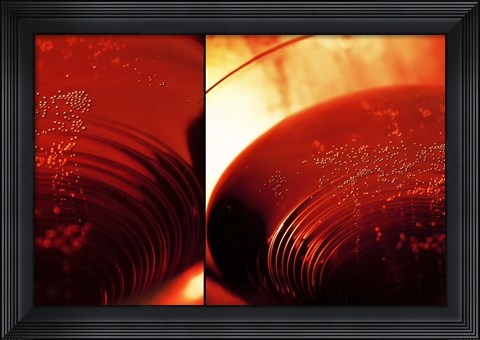 Framed Red Champagne Print