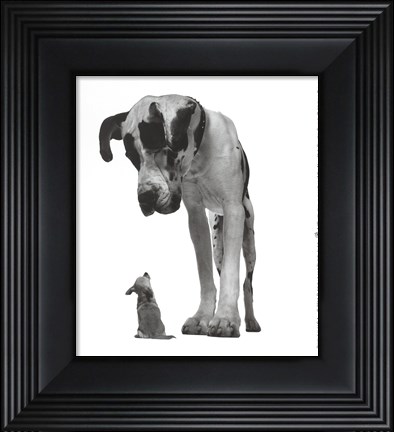 Framed Best Friends Print