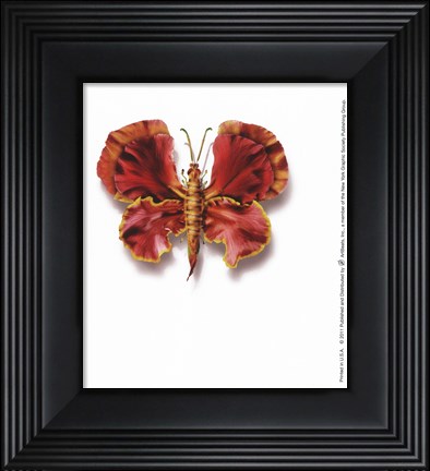 Framed Flamus Extremis Print