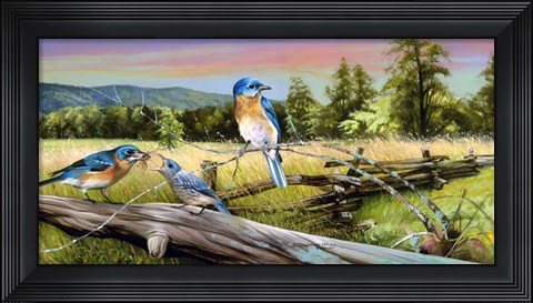 Framed Bluebird Meadow Print