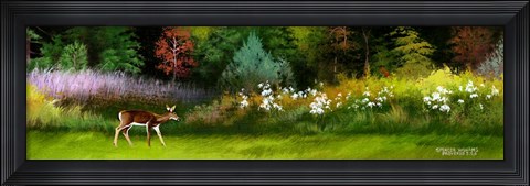Framed Doe In Spring Glade Print