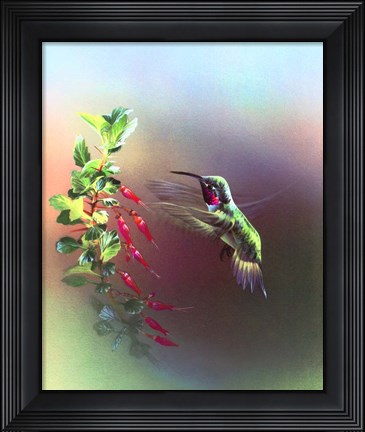 Framed Flower Power Print