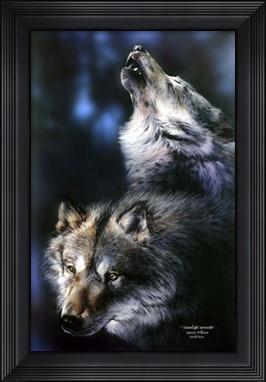 Framed Moonlight Serenade Print