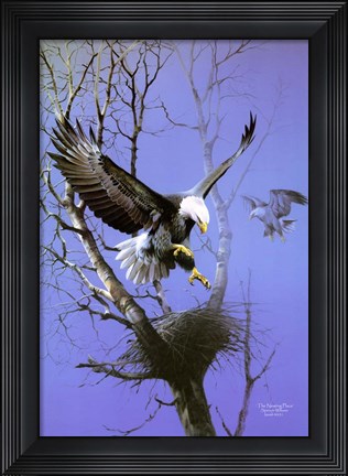 Framed Nesting Place Print