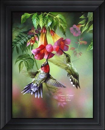 Framed Summer Hummer Print