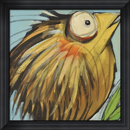 Framed Feather Bird 25 Print