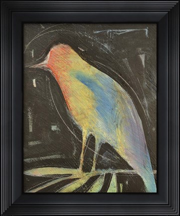 Framed Rainbow Bird Print