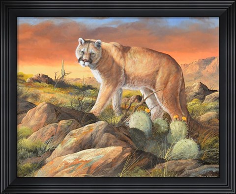 Framed Sonoran King Print