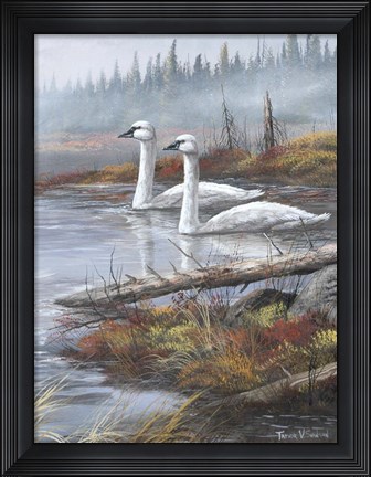 Framed Quiet Passby Print