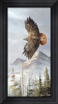 Framed Binking In Flight Print