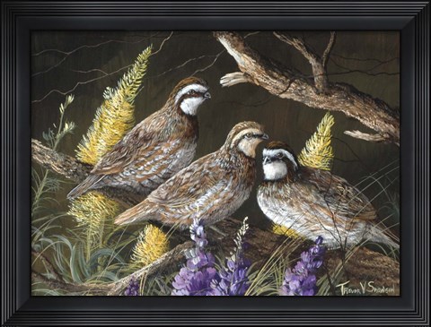 Framed Bobwhite Trio 1 Print