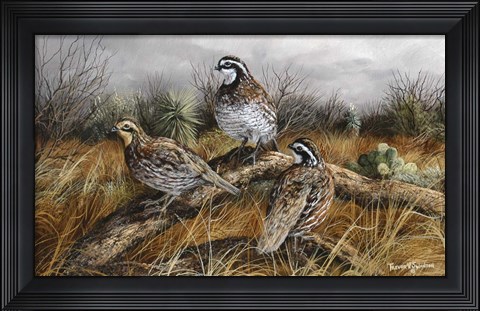 Framed Bobwhite Trio 2 Print