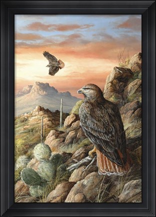 Framed Canyon Hunters Print