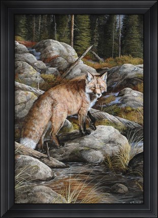 Framed Careful Stepper Print
