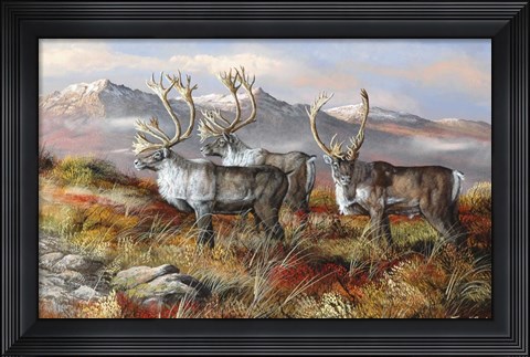 Framed Cold Alaskan Ridge Print
