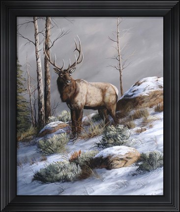 Framed Cold Ridge Watcher Print