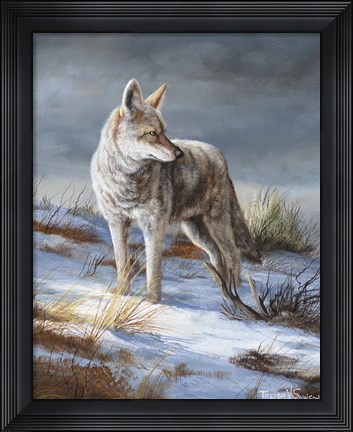Framed Cool Evening Print