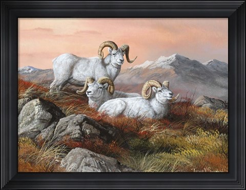 Framed Denali Trio Print