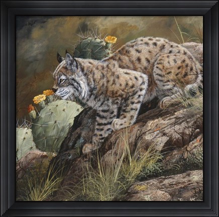 Framed Wild Cat Print