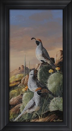 Framed Gambel Trio Print