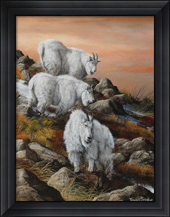 Framed High Country Sunset Print