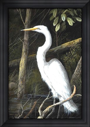 Framed In A Patch Of Light Print