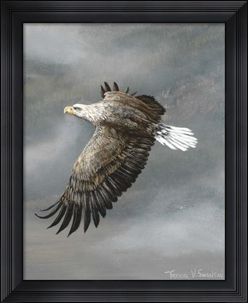 Framed In Flight Print
