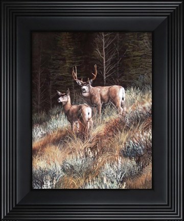 Framed Last Light Print