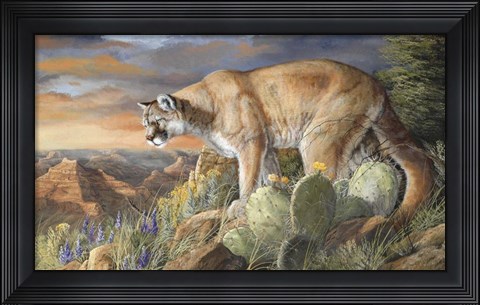 Framed Lord Of The Canyon Print