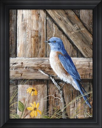 Framed Old Barn Watcher Print