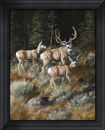Framed Out Of Shadows Print