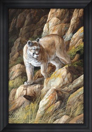 Framed Perfect Camouflage Print