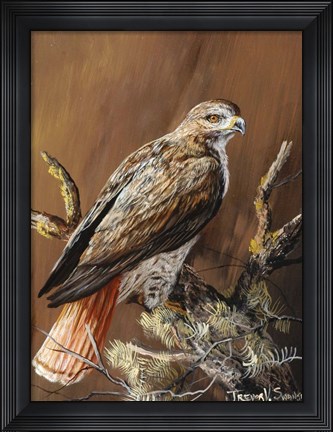 Framed Ponderosa Hunter Print