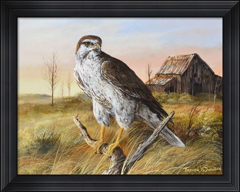 Framed Prairie Guardion Print