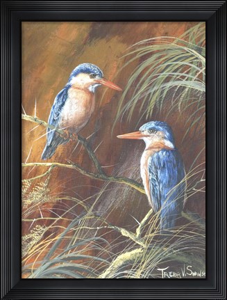 Framed Resting Fishers Print
