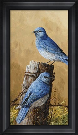 Framed Rusty Viewpoint Print