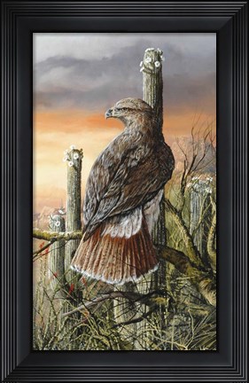 Framed Saguaro Hunter Print