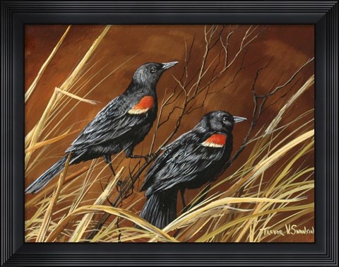 Framed Singers Of Fall Print