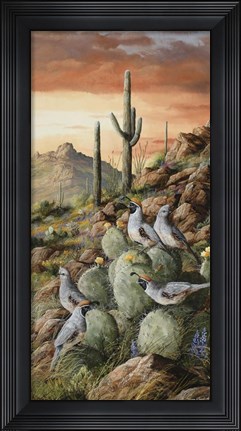 Framed Sunset In Sonora Print