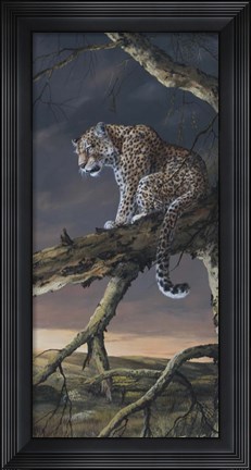 Framed Sunset Vantage Print