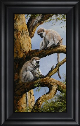 Framed Vervet Pair Print