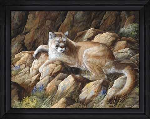 Framed Warm Resting Spot Print
