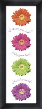 Framed Gerbera Daisies Print