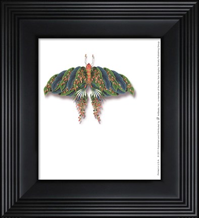 Framed Agean Alarius Print