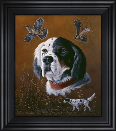 Framed English Setter Print