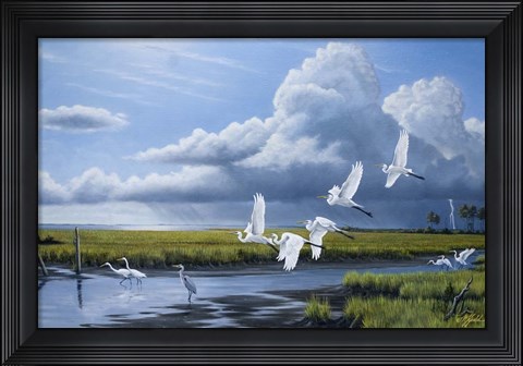 Framed Summer Storm Egrets Print