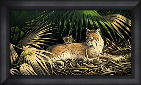 Framed Sunny Spot Bobcat with Kittens Print