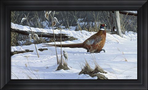 Framed Fenceline Strut Print